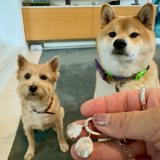 Pet Print Necklace