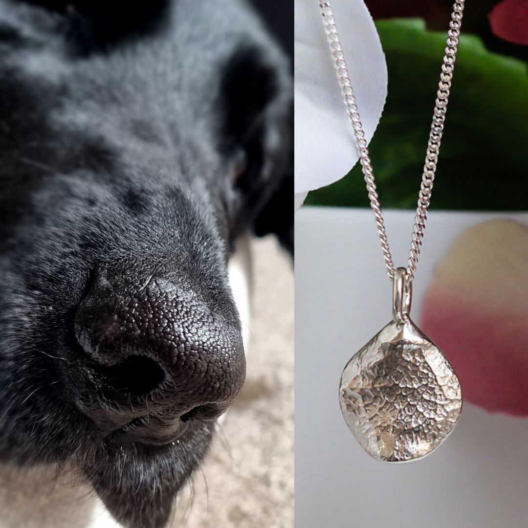 Close-up of a dog's nose on the left and a silver necklace with a pendant on the right.