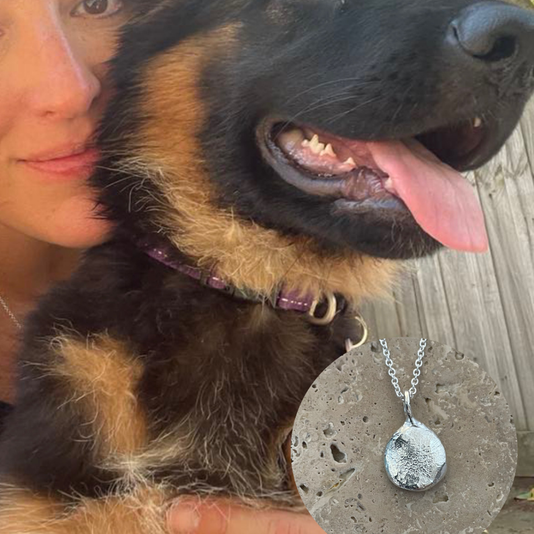 Person holding a German Shepherd dog with a necklace featuring a nose print pendant.